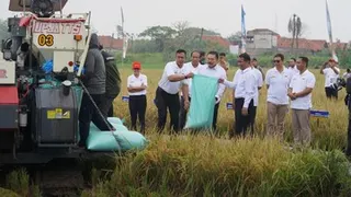Upaya Kejaksaan Agung Amankan Distribusi Pupuk Subsidi Lewat EWS Jaga Desa