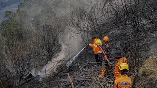Karhutla 5 Gunung Jatim, 1.488 Hektare Hangus