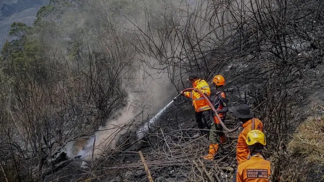 Karhutla 5 Gunung Jatim, 1.488 Hektare Hangus
