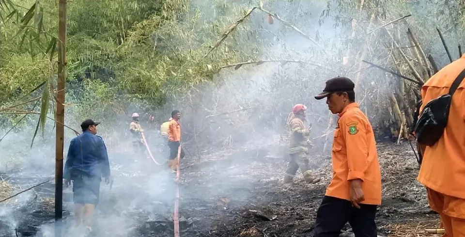 BPBD dan Damkar Kota Sukabumi Sinergi Tangani Kebakaran Lahan di Lembursitu