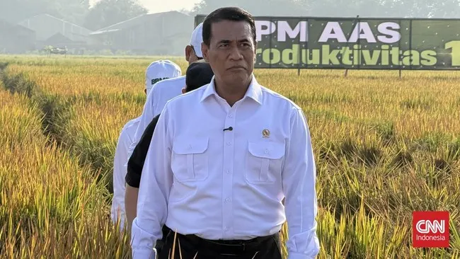 Amran Beber Biang Kerok Beras Jadi Penyumbang Inflasi