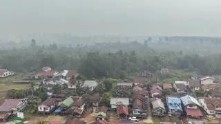 Kebakaran Hutan Kalbar Meluas, Tembus 48 Ribu Hektare