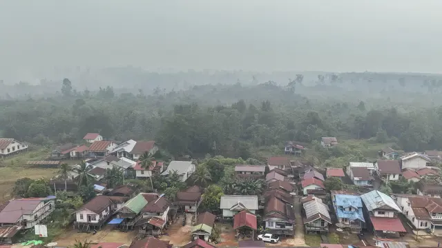 Kebakaran Hutan Kalbar Meluas, Tembus 48 Ribu Hektare