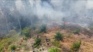 BNPB Ungkap Kebakaran Hutan Riau Terkini, 4 Titik Api Masih Terdeteksi