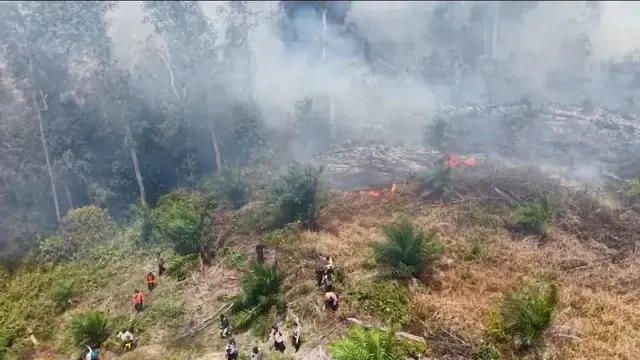 BNPB Ungkap Kebakaran Hutan Riau Terkini, 4 Titik Api Masih Terdeteksi