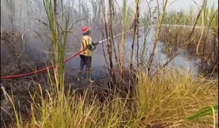Kebakaran Lahan 1,2 Hektare di Batang, Asap Sempat Ganggu Tol Batang-Semarang