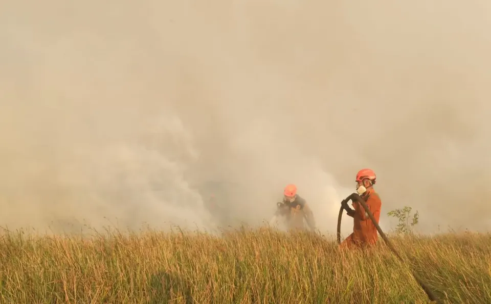 Kebakaran Hutan di Aljazair 73 Orang Meninggal Dunia