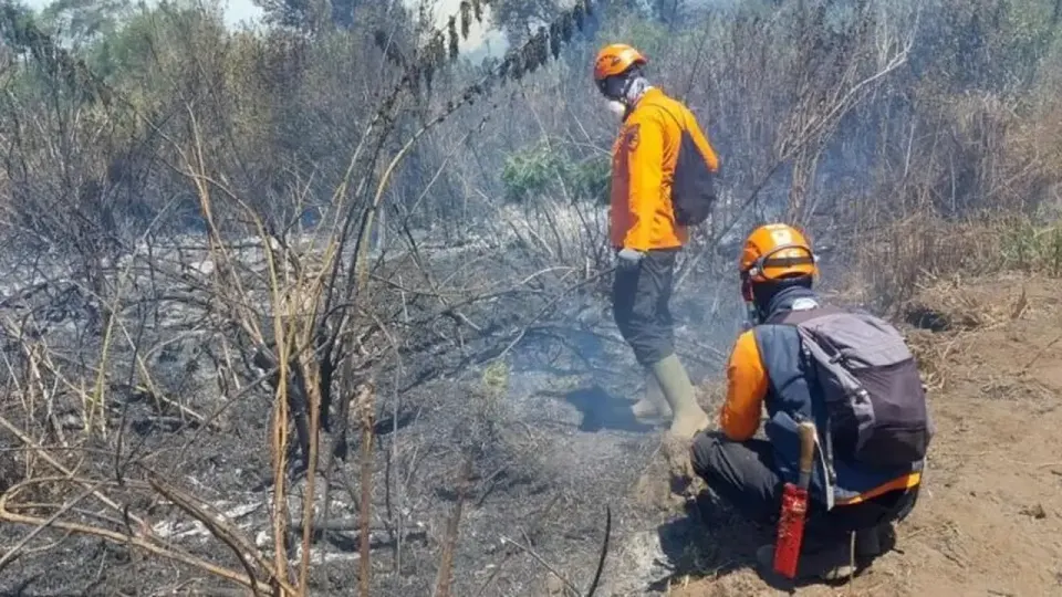 Kebakaran Semeru Mendekati Permukiman, Titik Api Berjarak 1 Kilometer dari Ranupani