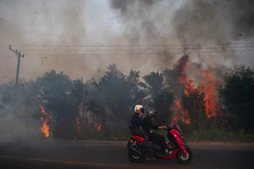WMO Peringatkan Ancaman Kebakaran Hutan dan Gelombang Panas Terhadap Kualitas Udara Global