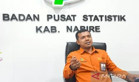 Penyebab Ekonomi Papua Tengah Terkontraksi akibat Penurunan Penjualan Freeport