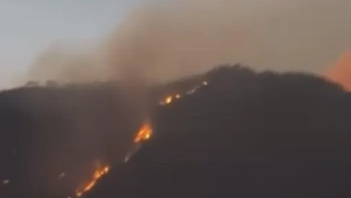 Cagar Alam Merapi Ungup-ungup Ijen Kebakaran, Api Terlihat dari Permukiman Warga
