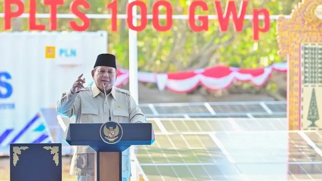 METI Dukung PLTS 100 GWp, Dorong Transformasi Energi Nasional