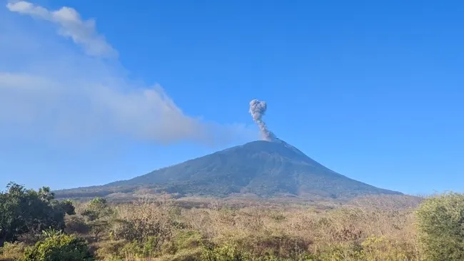 Ili Lewotolok Erupsi 4 Kali dalam 48 Jam, Kolom Abu Capai 600 Meter