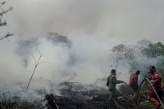 Karhutla di Pekanbaru Bikin Kualitas Udara Memburuk, Siswa TK-SMP Belajar Daring