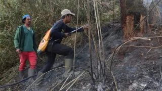 Hutan di Ranu Kembang Terbakar, Jalur Pendakian Gunung Semeru Ditutup Total