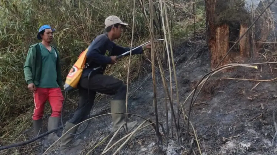 Hutan di Ranu Kembang Terbakar, Jalur Pendakian Gunung Semeru Ditutup Total