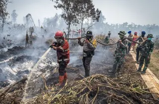 Disdamkarmat, 132 Kasus Kebakaran Lahan Terjadi di Kabupaten Cirebon