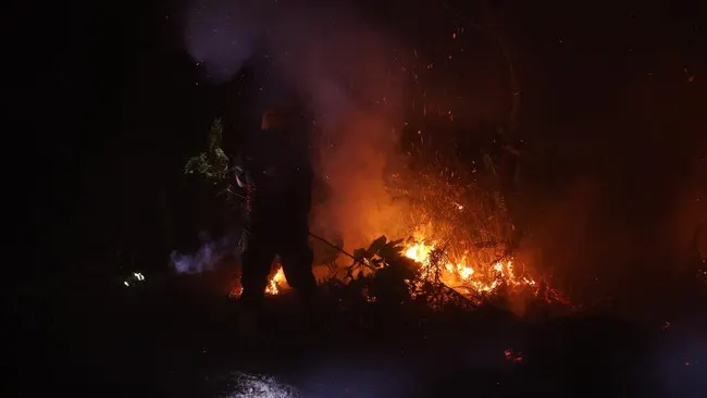 BNPB Laporkan 30 Titik Api Karhutla Masih Menyala di Kalimantan Barat