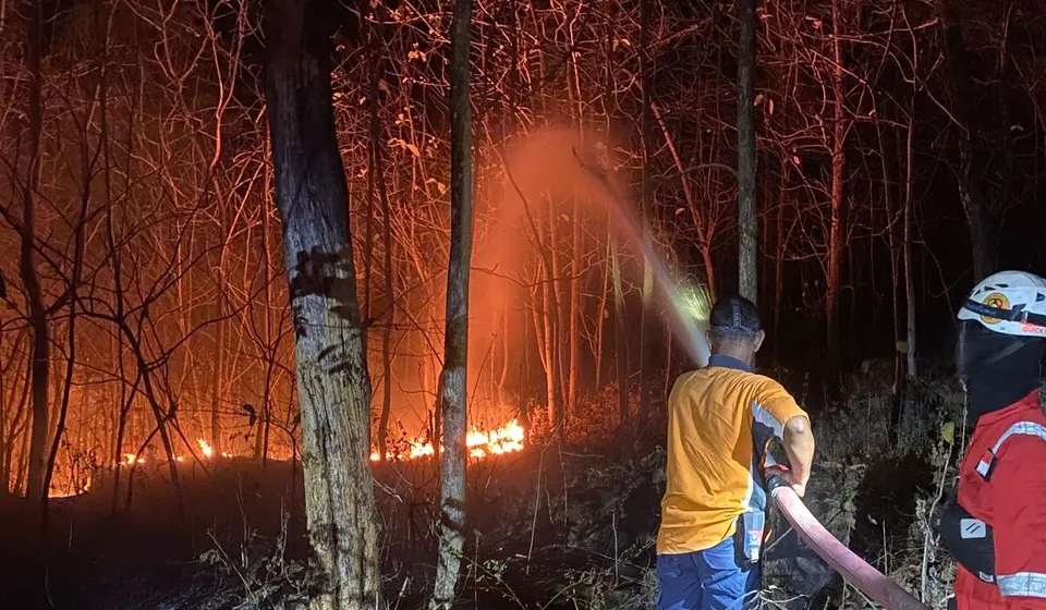 Kebakaran Landa Hutan Jati di Wilayah Kebumen, Api Mendekati Permukiman Warga