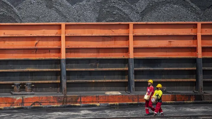 PTBA Curhat DMO Batu Bara Kegedaan, Laba Tergerus hingga Belasan Triliun