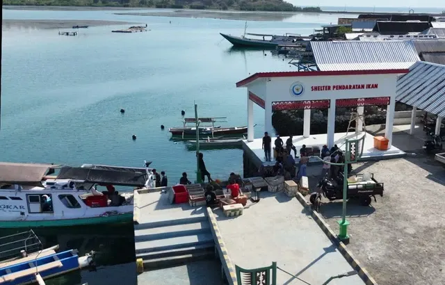 Uji Coba 65 Kampung Nelayan Merah Putih, 273 Ton Ikan Berhasil Dipasarkan