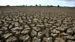 Empat Wilayah Kabupaten di Bali Terdampak Kekeringan